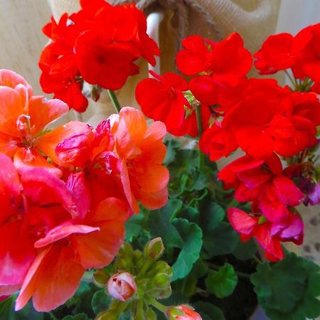 B&B Il Geranio Калімера Екстер'єр фото